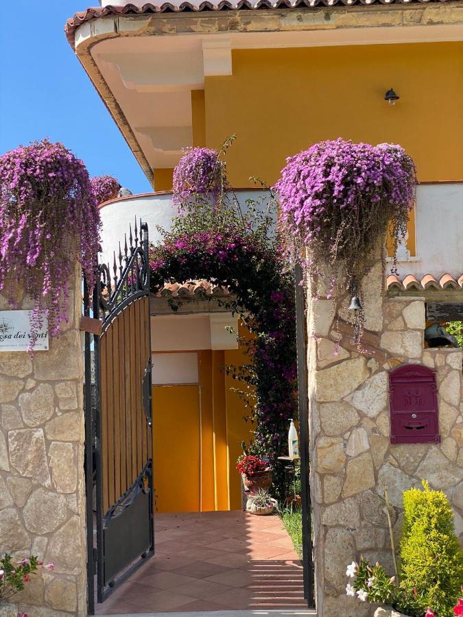 Rosa Dei Venti Accomodation Тропея Экстерьер фото